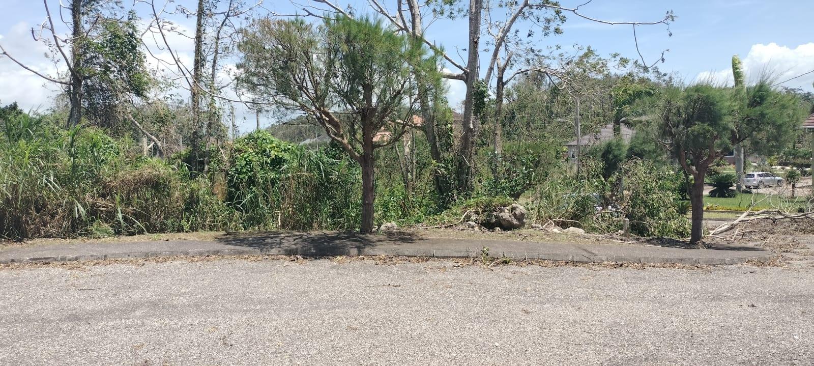 Nineteenth image of 100 Moorelands Estate in Mandeville, Manchester, Jamaica - property is For Sale