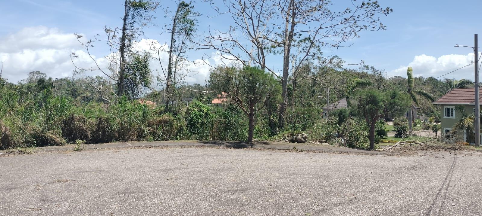 Twentieth image of 100 Moorelands Estate in Mandeville, Manchester, Jamaica - property is For Sale