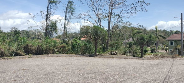 Twentieth image of 100 Moorelands Estate in Mandeville, Manchester, Jamaica - property is For Sale