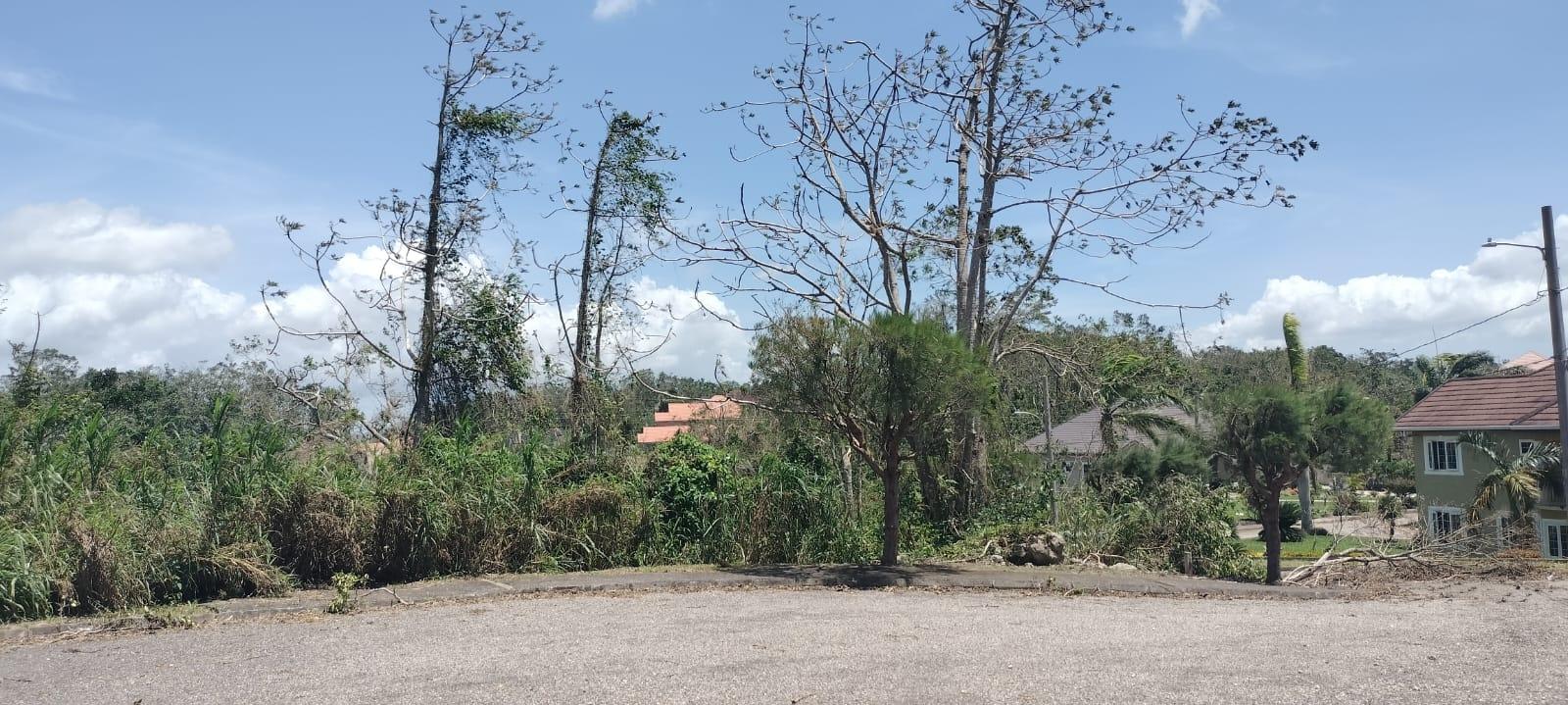 Twenty-First image of 100 Moorelands Estate in Mandeville, Manchester, Jamaica - property is For Sale