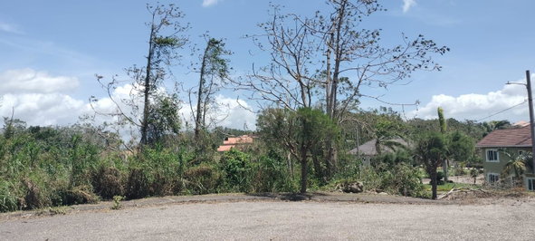 Twenty-First image of 100 Moorelands Estate in Mandeville, Manchester, Jamaica - property is For Sale