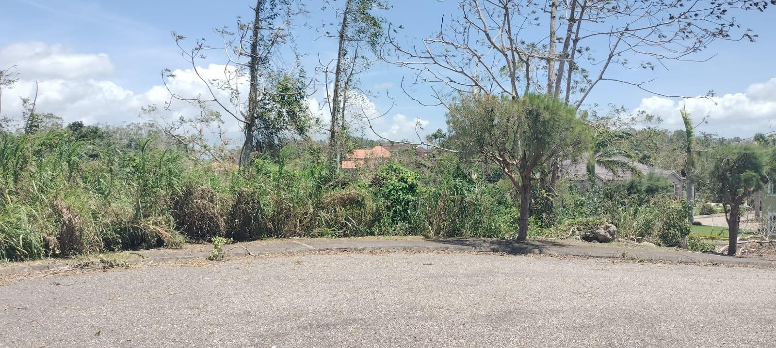 Twenty-Second image of 100 Moorelands Estate in Mandeville, Manchester, Jamaica - property is For Sale