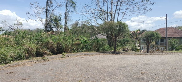 Twenty-Third image of 100 Moorelands Estate in Mandeville, Manchester, Jamaica - property is For Sale