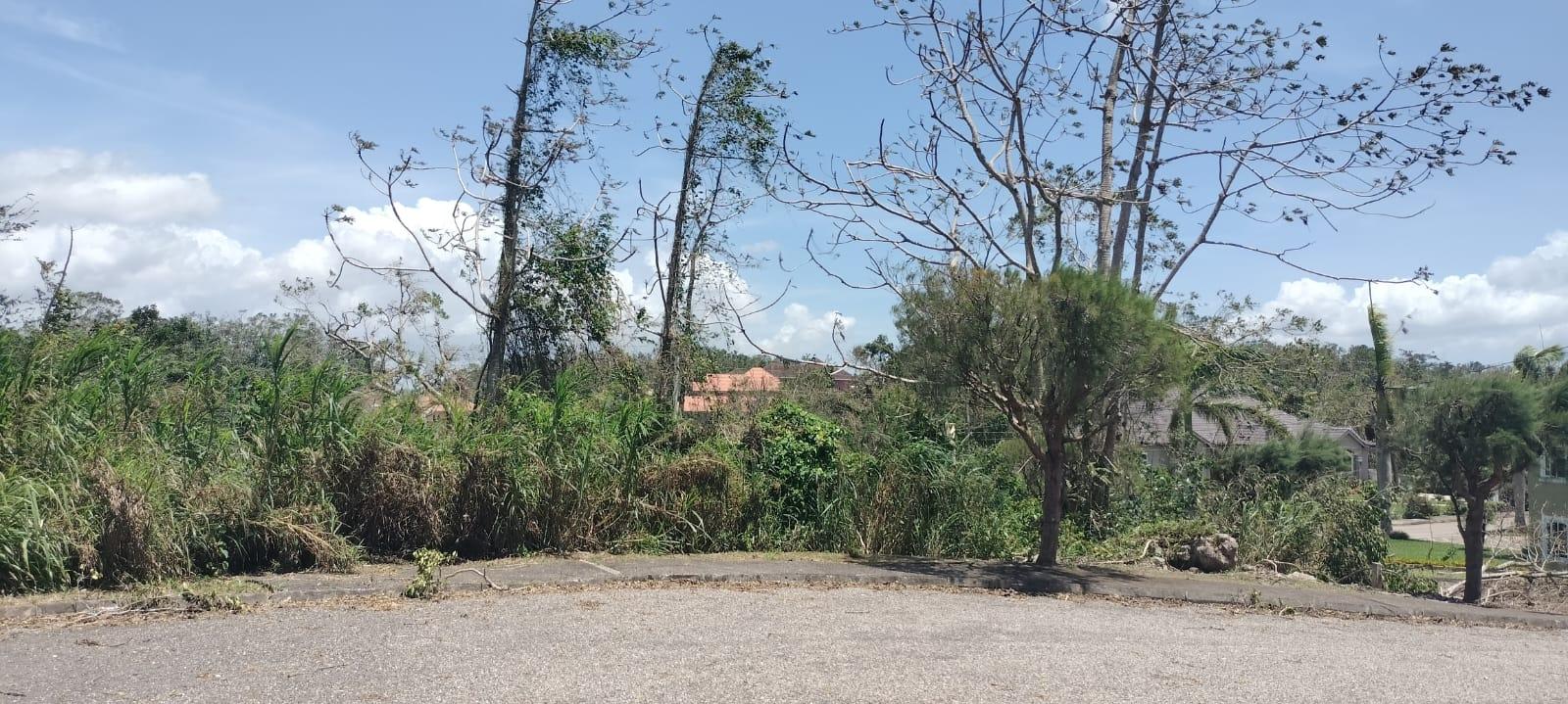 Twenty-Fourth image of 100 Moorelands Estate in Mandeville, Manchester, Jamaica - property is For Sale