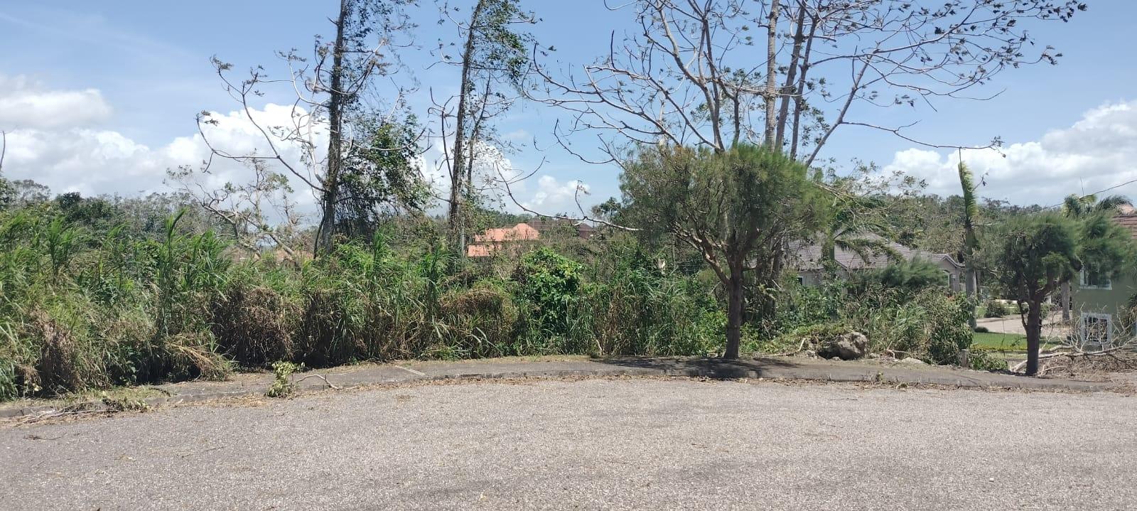 Twenty-Fifth image of 100 Moorelands Estate in Mandeville, Manchester, Jamaica - property is For Sale