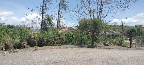 Twenty-Fifth image of 100 Moorelands Estate in Mandeville, Manchester, Jamaica - property is For Sale