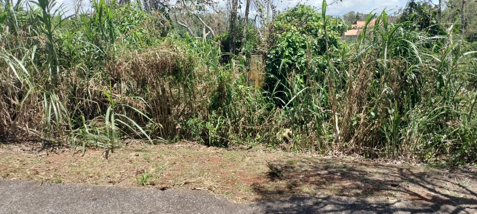 Twenty-Sixth image of 100 Moorelands Estate in Mandeville, Manchester, Jamaica - property is For Sale