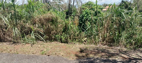 Twenty-Sixth image of 100 Moorelands Estate in Mandeville, Manchester, Jamaica - property is For Sale