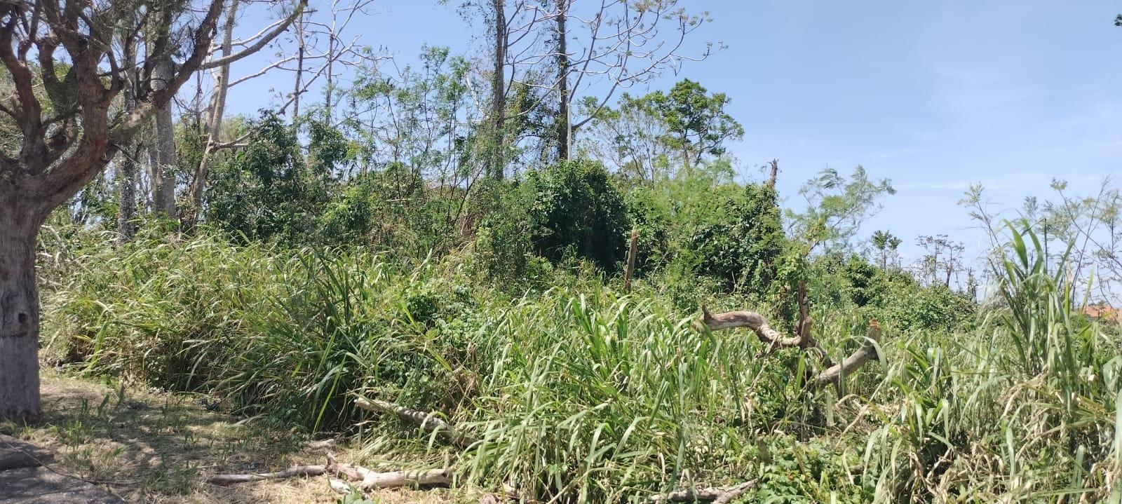 Fourth image of 100 Moorelands Estate in Mandeville, Manchester, Jamaica - property is For Sale