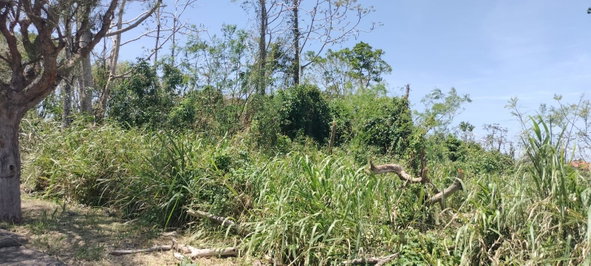 Fourth image of 100 Moorelands Estate in Mandeville, Manchester, Jamaica - property is For Sale