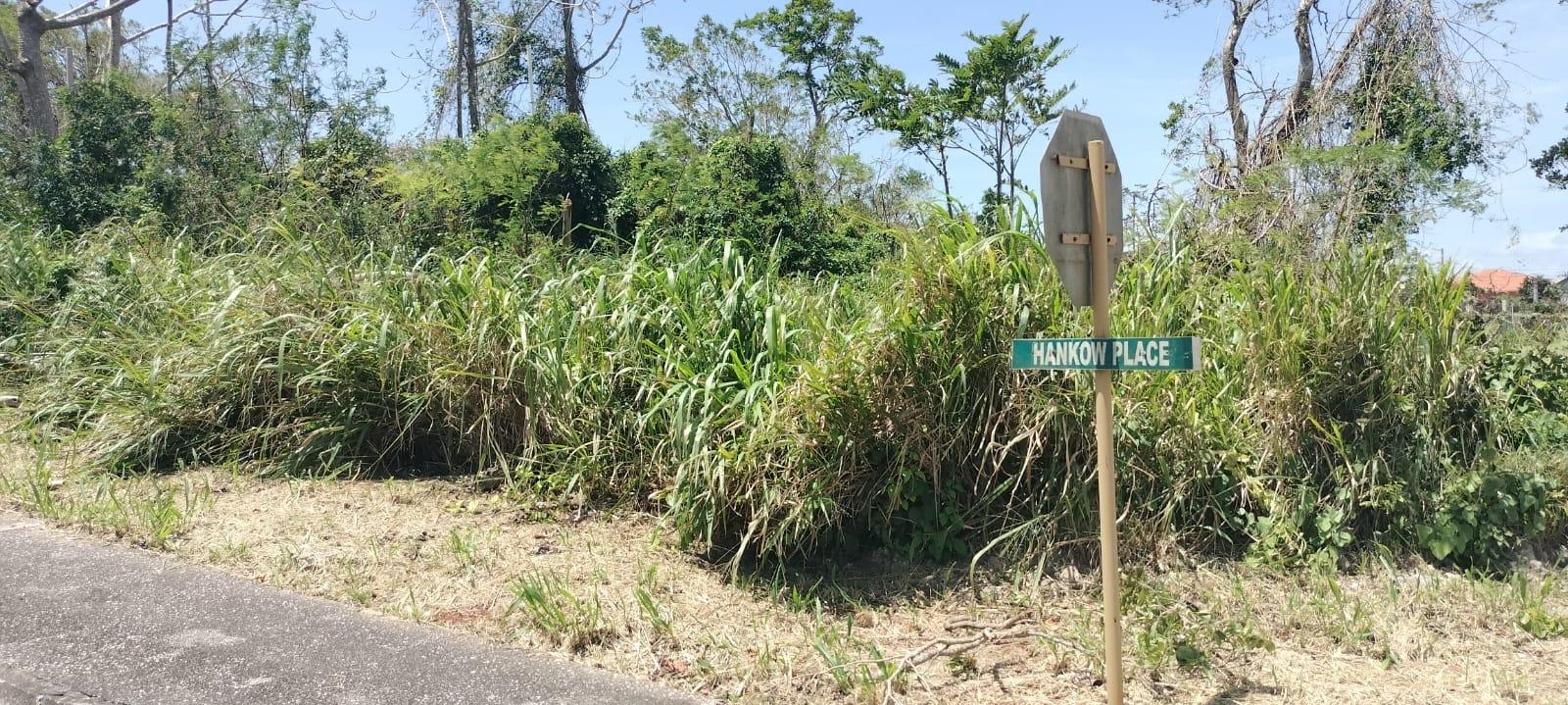 Fifth image of 100 Moorelands Estate in Mandeville, Manchester, Jamaica - property is For Sale