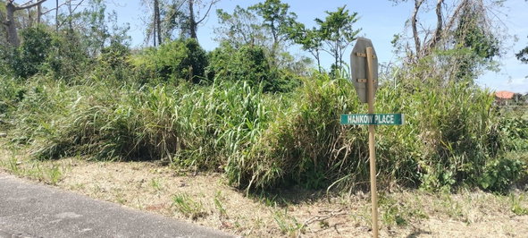 Fifth image of 100 Moorelands Estate in Mandeville, Manchester, Jamaica - property is For Sale