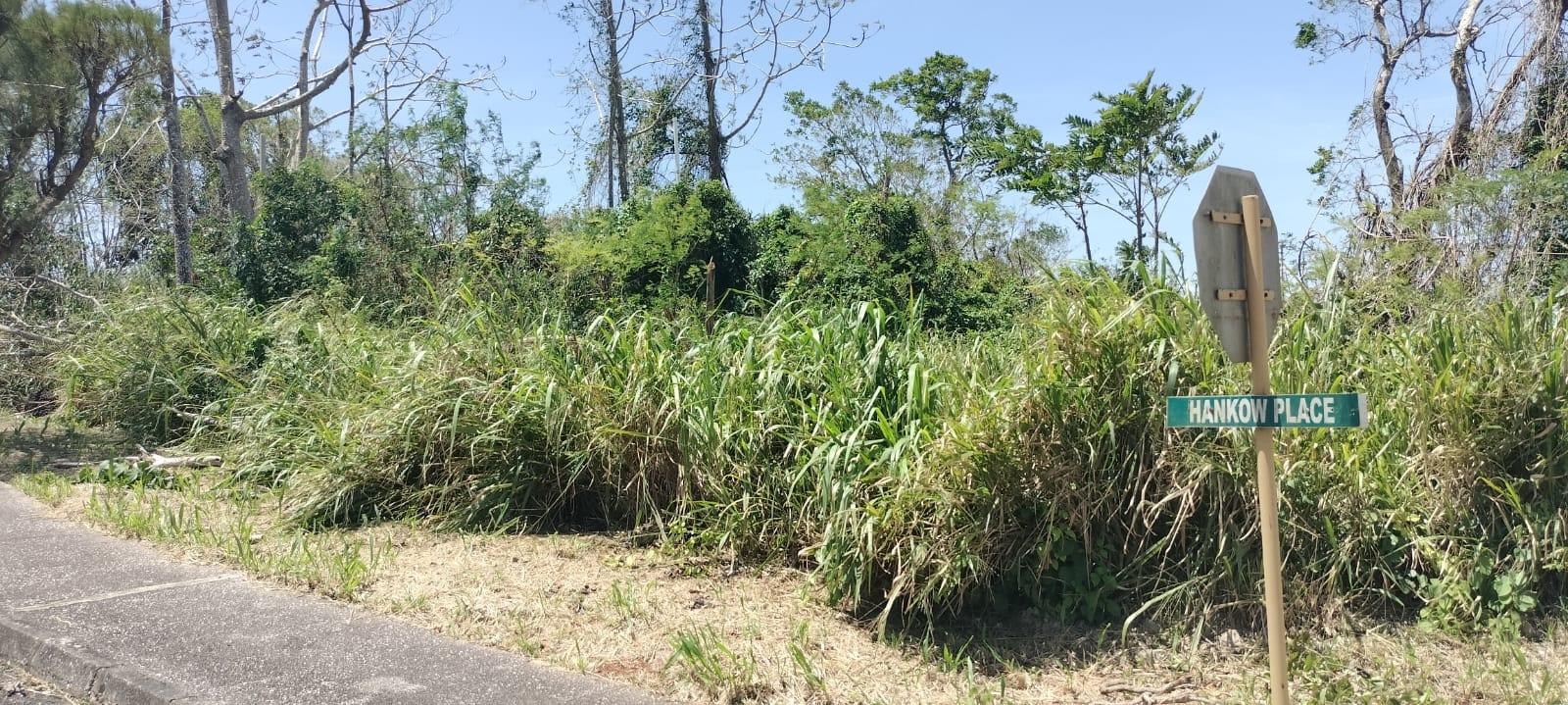 Sixth image of 100 Moorelands Estate in Mandeville, Manchester, Jamaica - property is For Sale