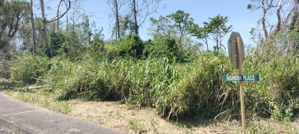 Sixth image of 100 Moorelands Estate in Mandeville, Manchester, Jamaica - property is For Sale