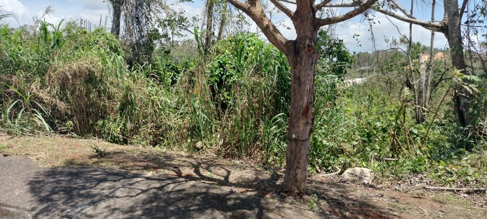 Seventh image of 100 Moorelands Estate in Mandeville, Manchester, Jamaica - property is For Sale