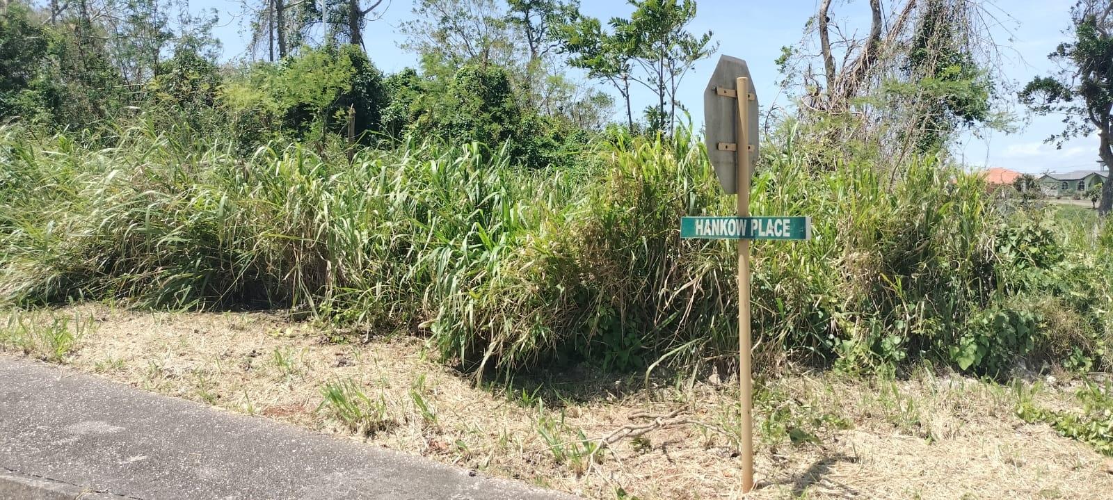 Ninth image of 100 Moorelands Estate in Mandeville, Manchester, Jamaica - property is For Sale