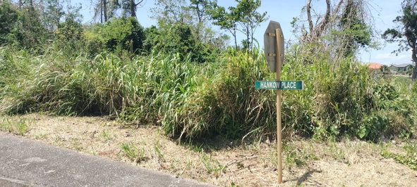 Ninth image of 100 Moorelands Estate in Mandeville, Manchester, Jamaica - property is For Sale