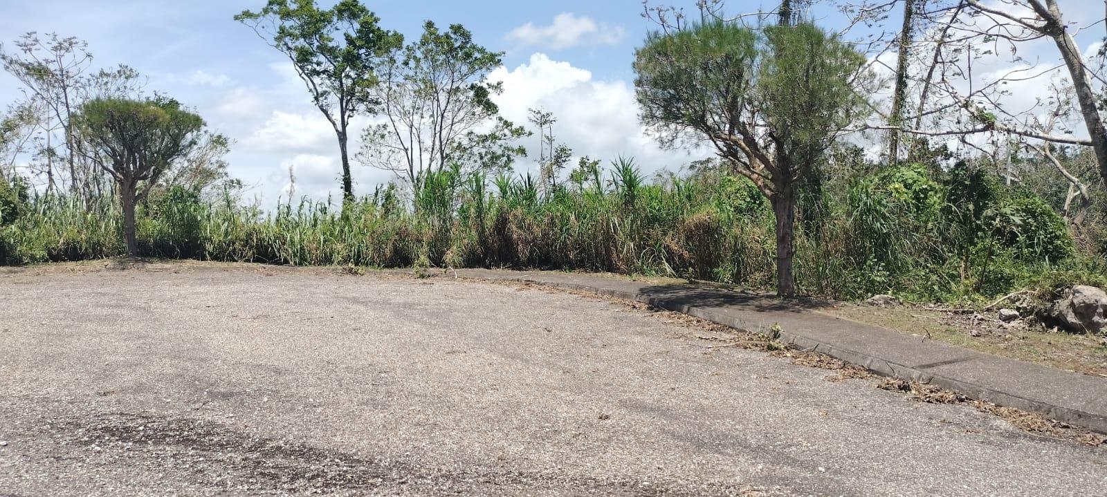 Tenth image of 100 Moorelands Estate in Mandeville, Manchester, Jamaica - property is For Sale