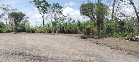 Tenth image of 100 Moorelands Estate in Mandeville, Manchester, Jamaica - property is For Sale