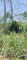 First image of 100 Moorelands Estate in Mandeville, Manchester, Jamaica - property is For Sale