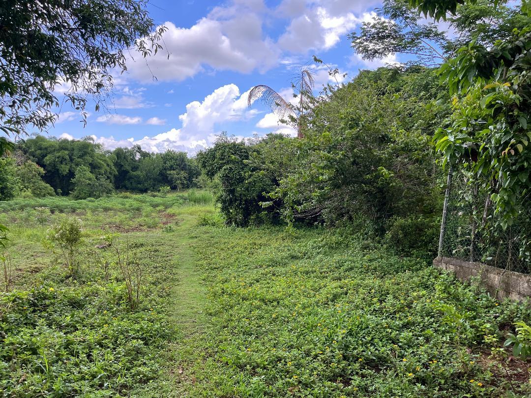 Second image of Lovely Point Road in Santa Cruz, St. Elizabeth, Jamaica - property is For Sale