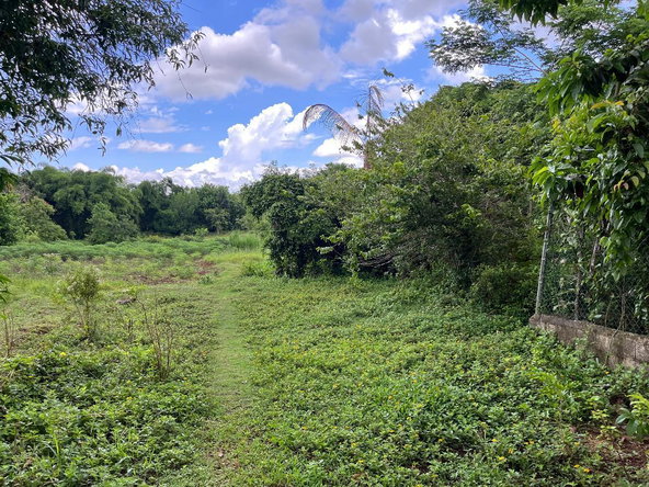 Second image of Lovely Point Road in Santa Cruz, St. Elizabeth, Jamaica - property is For Sale