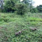 First image of Lovely Point Road in Santa Cruz, St. Elizabeth, Jamaica - property is For Sale