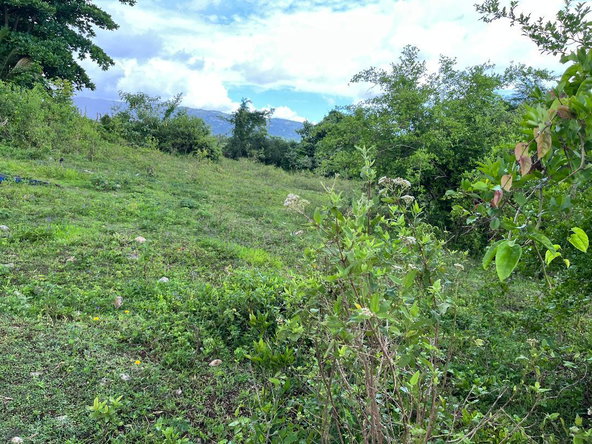 Third image of Lovely Point Road in Santa Cruz, St. Elizabeth, Jamaica - property is For Sale