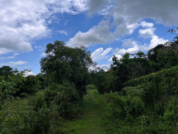 Fourth image of Lovely Point Road in Santa Cruz, St. Elizabeth, Jamaica - property is For Sale