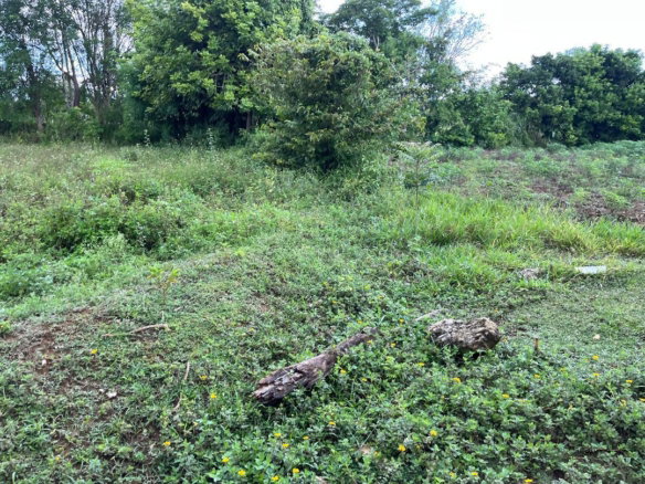 First image of Lovely Point Road in Santa Cruz, St. Elizabeth, Jamaica - property is For Sale