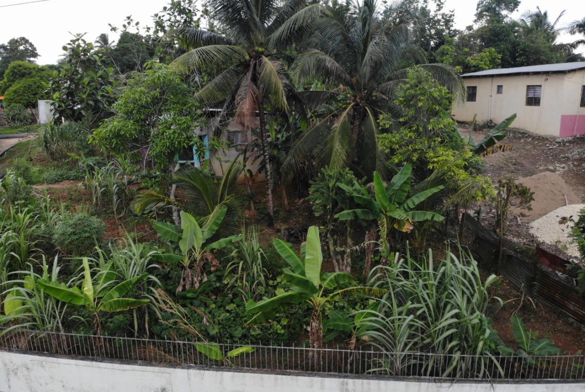 Second image of Jarrett Avenue in Linstead, St. Catherine, Jamaica - property is For Sale