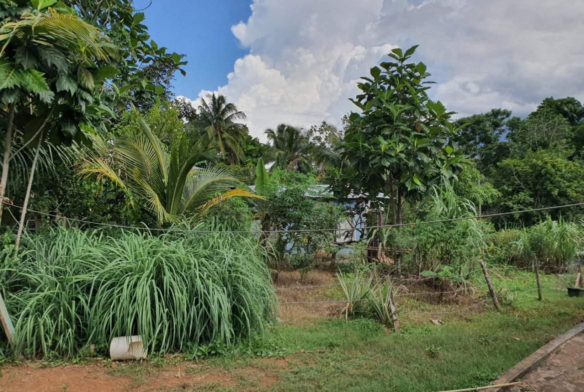 Fifth image of Jarrett Avenue in Linstead, St. Catherine, Jamaica - property is For Sale