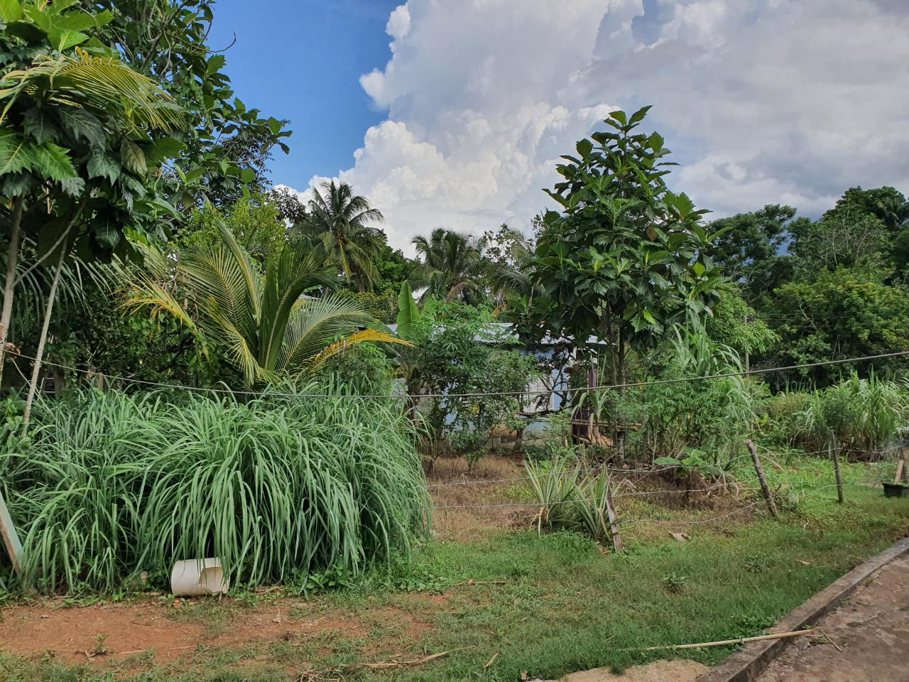 Fifth image of Jarrett Avenue in Linstead, St. Catherine, Jamaica - property is For Sale