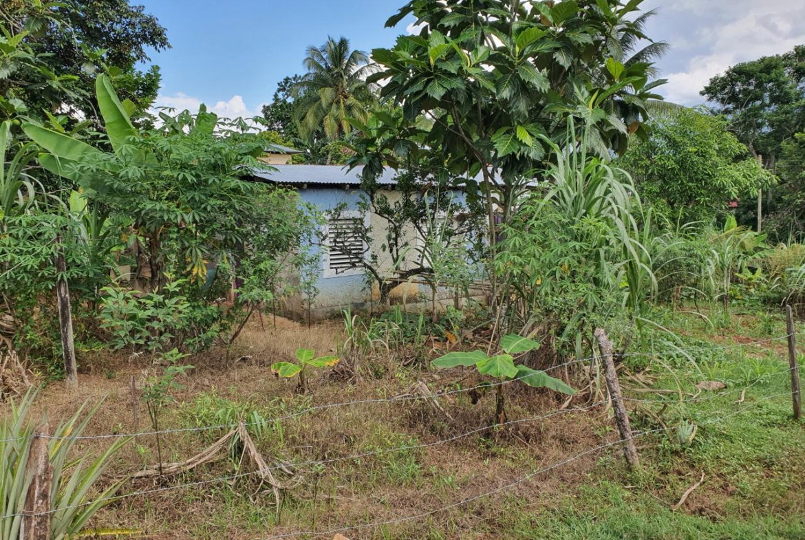 Sixth image of Jarrett Avenue in Linstead, St. Catherine, Jamaica - property is For Sale