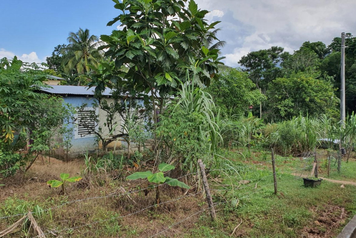 Seventh image of Jarrett Avenue in Linstead, St. Catherine, Jamaica - property is For Sale