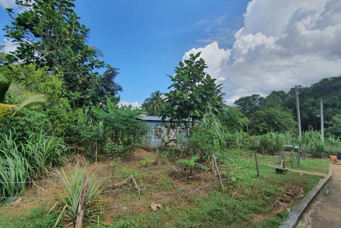 Eighth image of Jarrett Avenue in Linstead, St. Catherine, Jamaica - property is For Sale