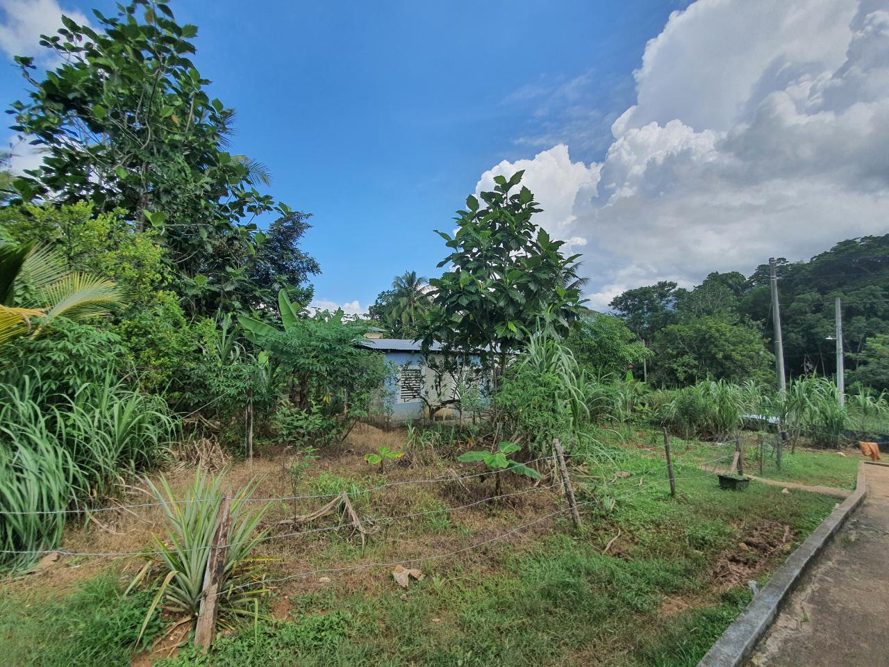 Eighth image of Jarrett Avenue in Linstead, St. Catherine, Jamaica - property is For Sale