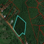 First image of Trinity, Porus in Porus, Manchester, Jamaica - property is For Sale