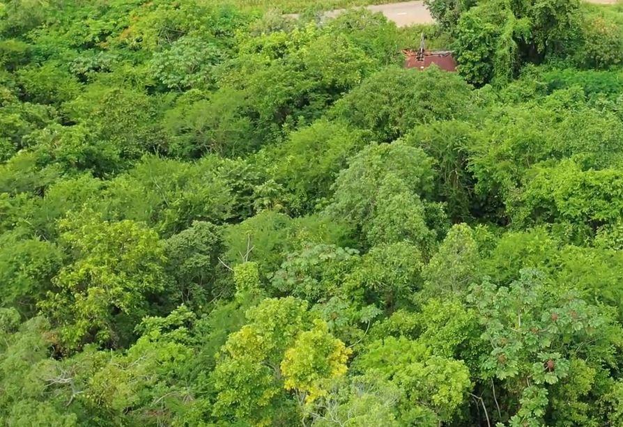 Fourth image of Trinity, Porus in Porus, Manchester, Jamaica - property is For Sale