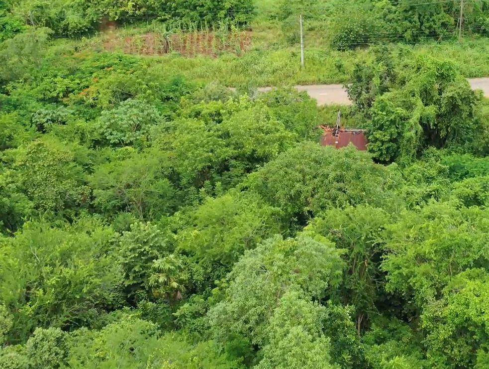 Fifth image of Trinity, Porus in Porus, Manchester, Jamaica - property is For Sale