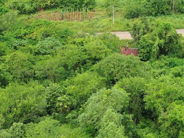 Fifth image of Trinity, Porus in Porus, Manchester, Jamaica - property is For Sale