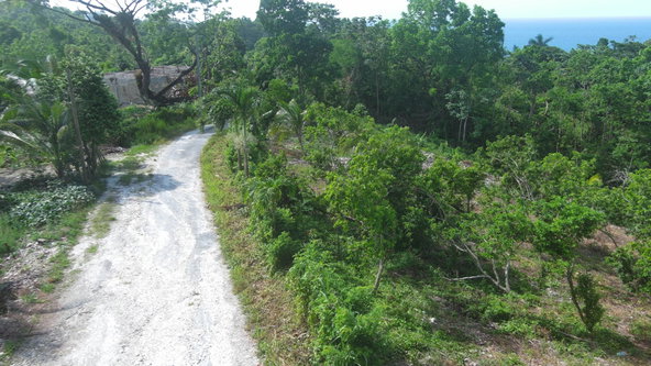 Sixth image of 1a Spring Garden Portland in Spring Garden, Portland, Jamaica - property is For Sale