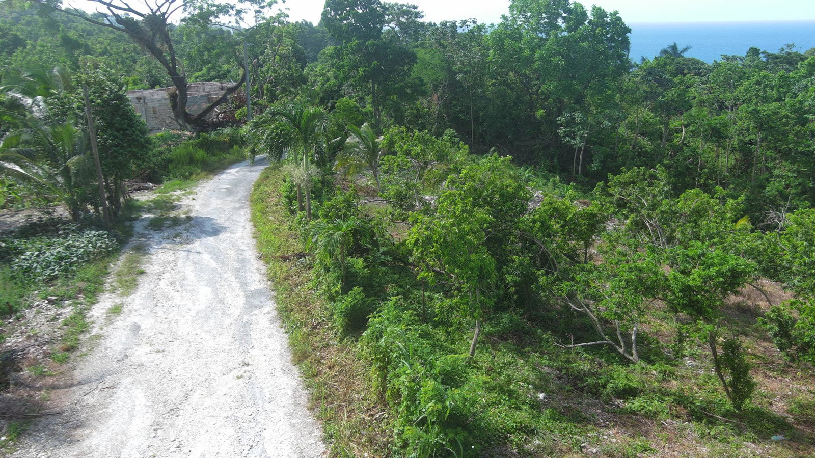 Seventh image of 1a Spring Garden Portland in Spring Garden, Portland, Jamaica - property is For Sale