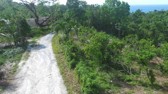 Seventh image of 1a Spring Garden Portland in Spring Garden, Portland, Jamaica - property is For Sale
