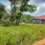 First image of Brokenhurst in Broken Hurst, Manchester, Jamaica - property is For Sale