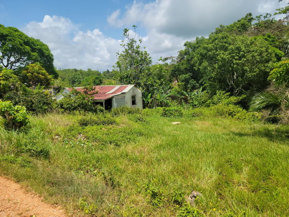 Fourth image of Brokenhurst in Broken Hurst, Manchester, Jamaica - property is For Sale
