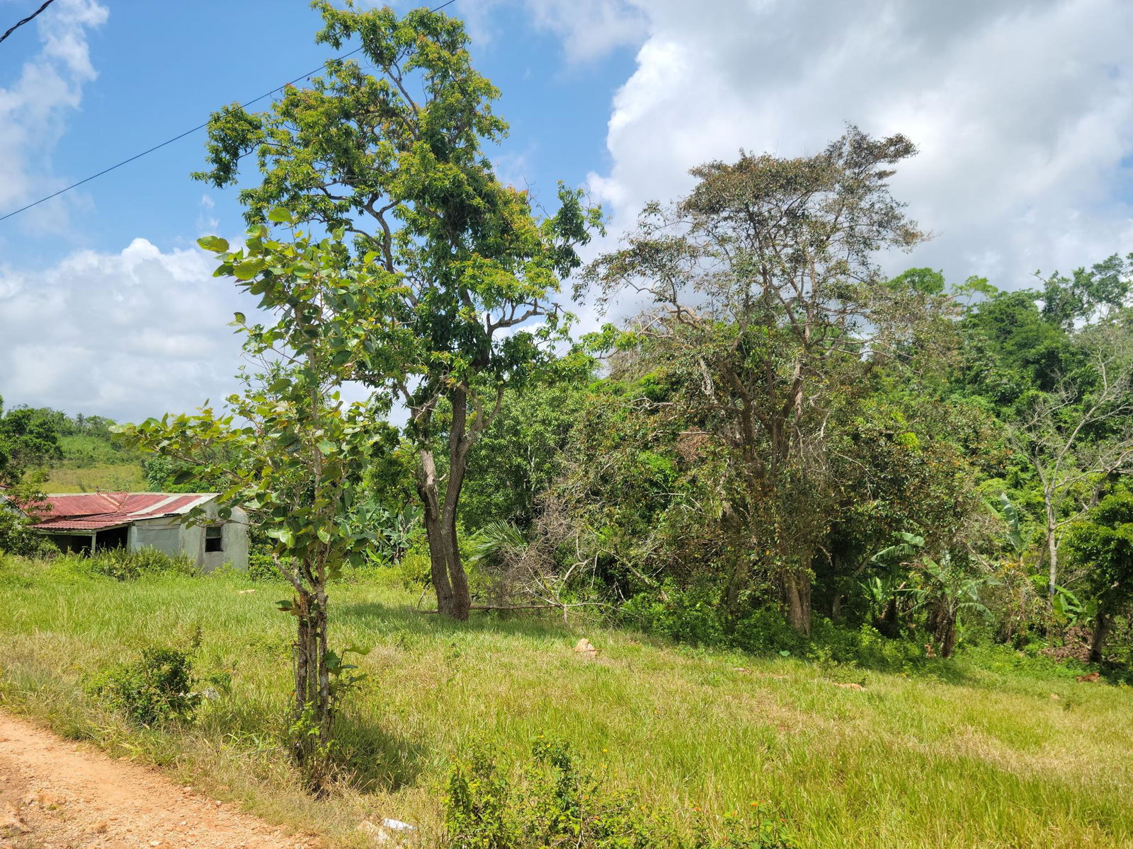 Fifth image of Brokenhurst in Broken Hurst, Manchester, Jamaica - property is For Sale