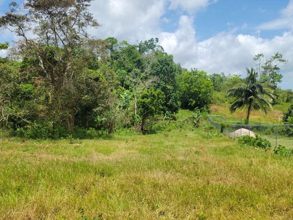 Sixth image of Brokenhurst in Broken Hurst, Manchester, Jamaica - property is For Sale