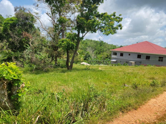 First image of Brokenhurst in Broken Hurst, Manchester, Jamaica - property is For Sale