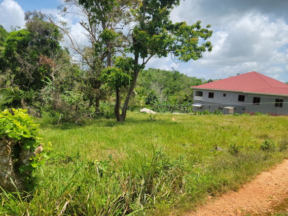 First image of Brokenhurst in Broken Hurst, Manchester, Jamaica - property is For Sale